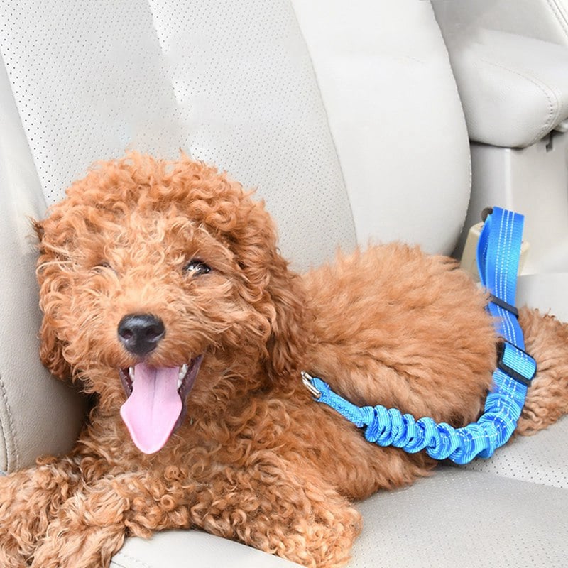 Adjustable Elastic Dog Car Seat Belt