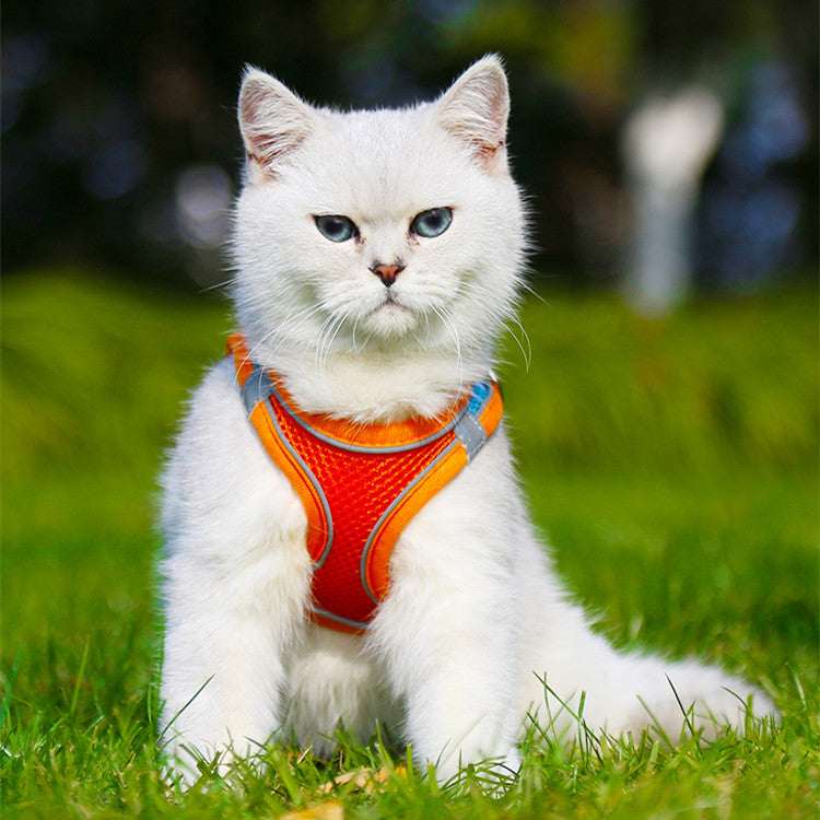 Reflective Dog Harness & Leash Set